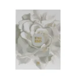 MUSK & ROSES - Image 2